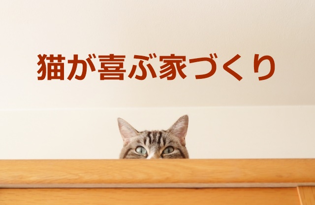 新築で猫と暮らす前に知っておきたい 部屋づくりのポイント 安心マイホーム 知識の貯金箱 暮らしを整えてデザインする
